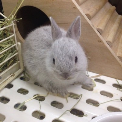 miu11231029's profile picture. 생일:10월 29일 혈액형:B형