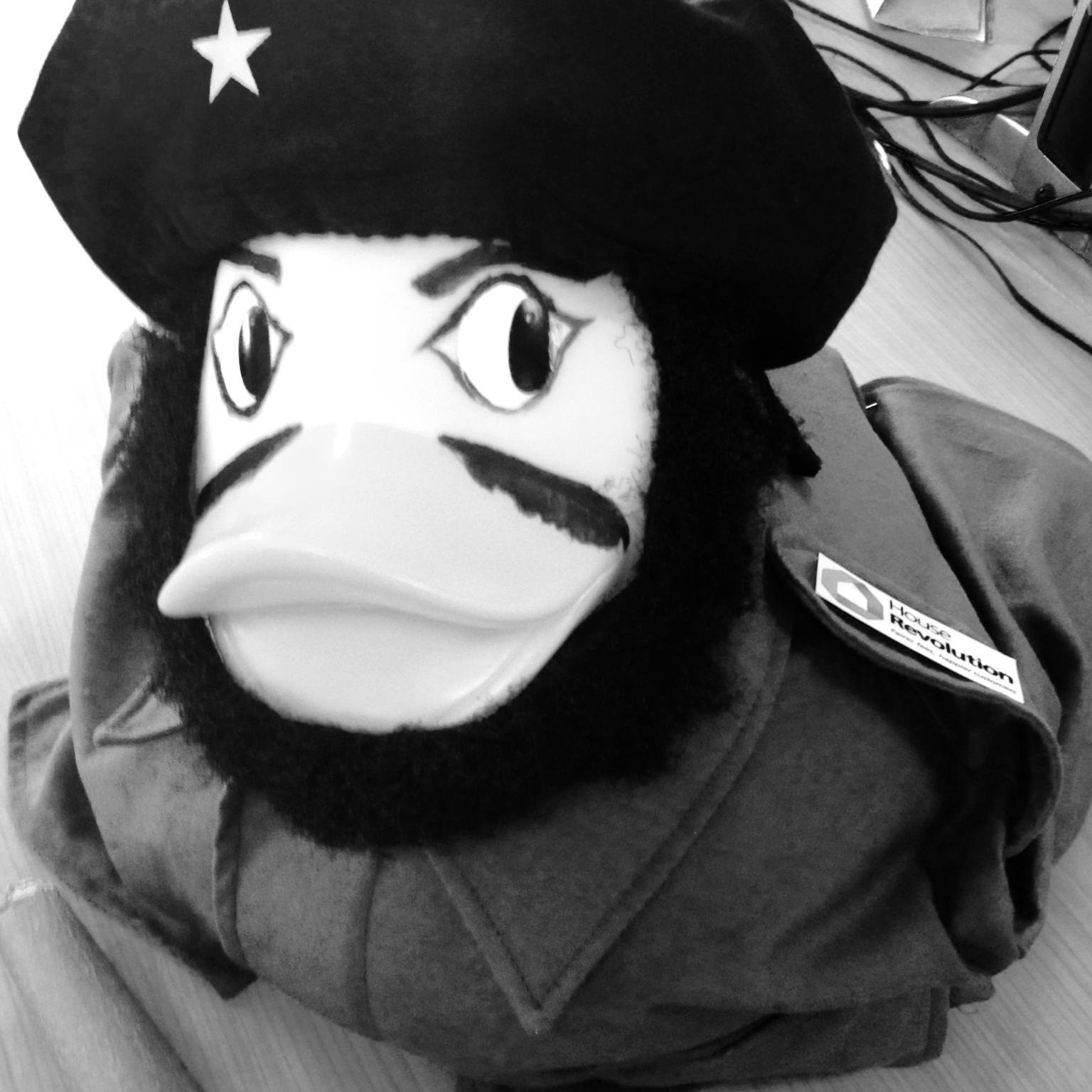 CheSuburbia's profile picture. I am the revolutionary duck, Che Suburbia, fighting for excellence and honesty in local estate agency.