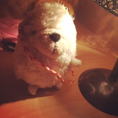 aiko667's profile picture. 