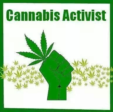 Marijuana advocate