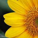 Charlotte Li - @Charlotte8065 - Twitter