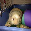 Janette Patterson - @allybby121 - Twitter