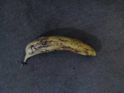 KelvynSturm's profile picture. 