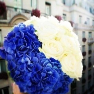 maa11881's profile picture. هلاليہ الہوى ے ♡