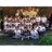 SITIG_IPA3's profile image