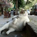 Annika Lindgren - @AnkiLindgren - Twitter