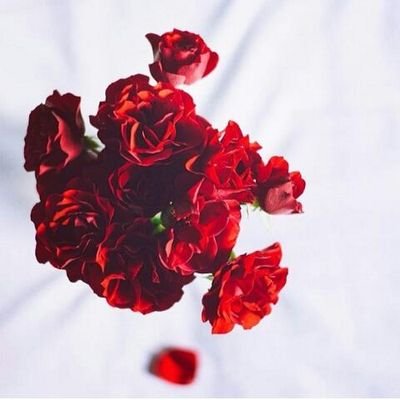 ‏‏هذا رقم17^-*♥!!؟ .                         اشهد ان لا اله الا الله واشهد ان محمد رسول الله.   # الهلال   ♥.