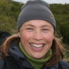 shb000's profile picture. Historikar. Kvitrar på som meg sjølv.