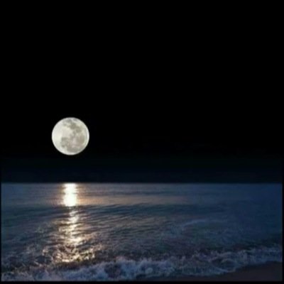 faisal91103531's profile picture. أنا رجل لا أخشى أحد مادمت على حق ، أجيد الغزل ولا أحب الإسراف فيه ، أقرأ ولكن أكتب أكثر مما اقرأ ..!! ، بعض من حروفي بالمفضله ..!