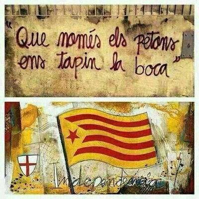A Barcelona, però amant de la platja i de la neu.