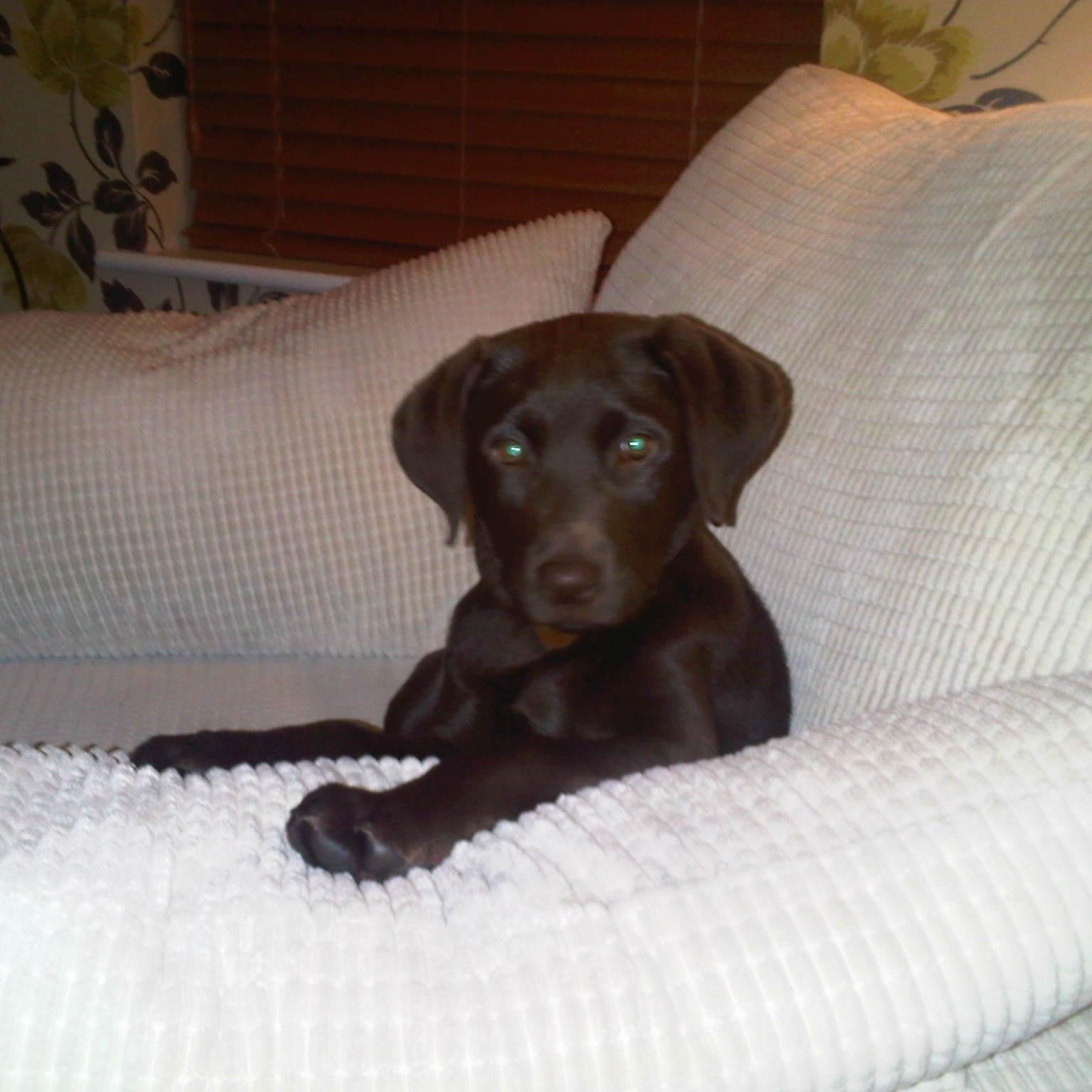 SCroob1's profile picture. 