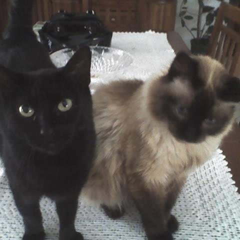 EziaLodi's profile picture. 