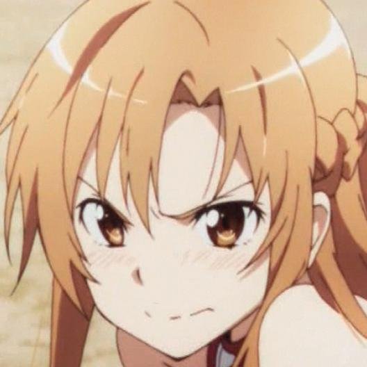 アニメとかマンガが好き！SAO・まどマギも大好きです。