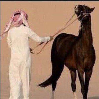 يامرحبا ترحيبة ريس قبيله     ربعه من الغربه يقلواااان ماجور