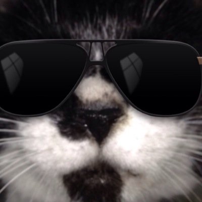 taro_1978's profile picture. サッカーは別アカに移動します。ここでは主に動物動画等リツイートしていきます。