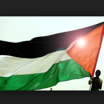 Just a canadian supporting PALESTINE.