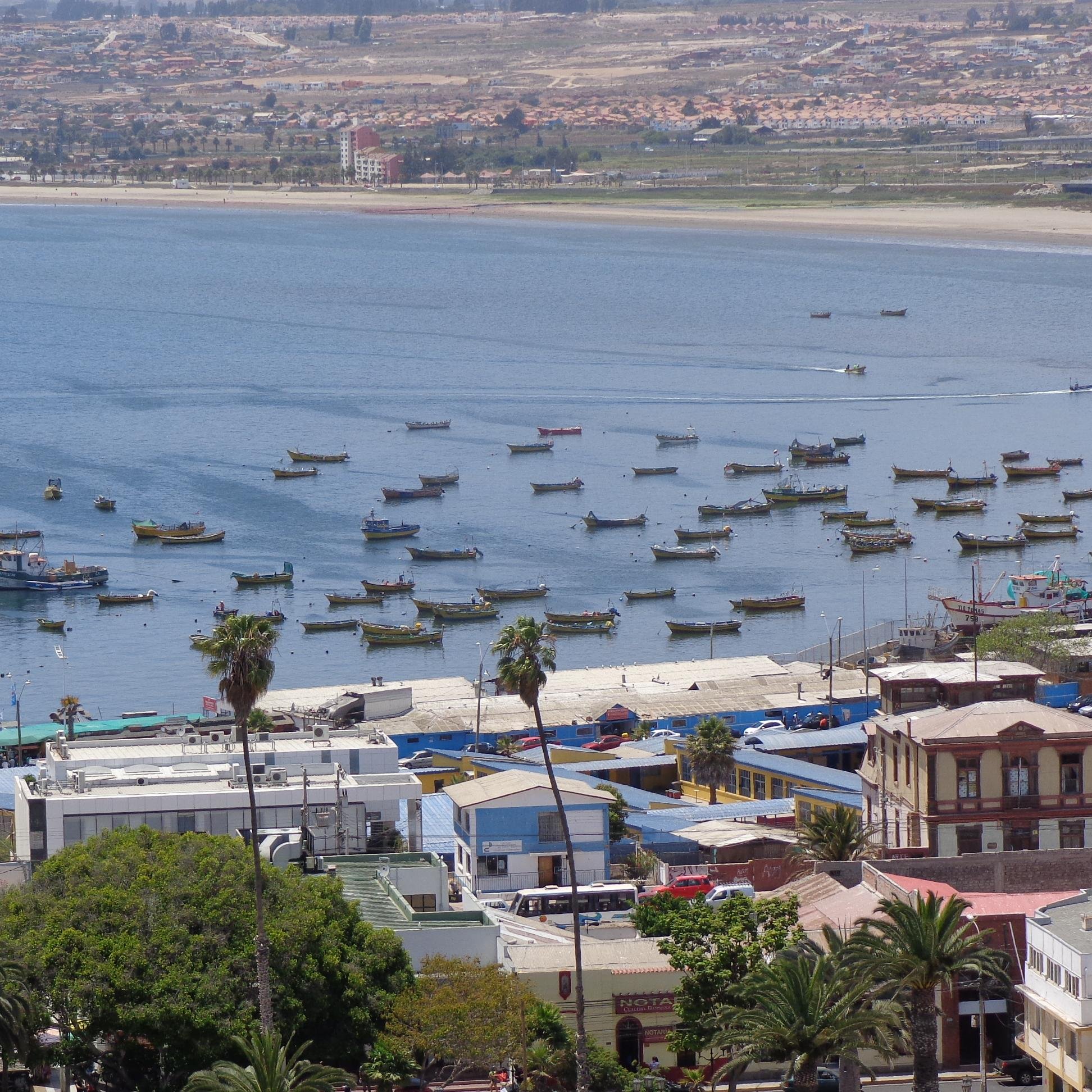 vicavato03's profile picture. 