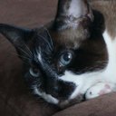 Drew Temple - @drewsky64 - Twitter