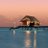 MaldivesHotelRP's profile image