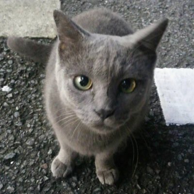 _takomin_'s profile picture. 