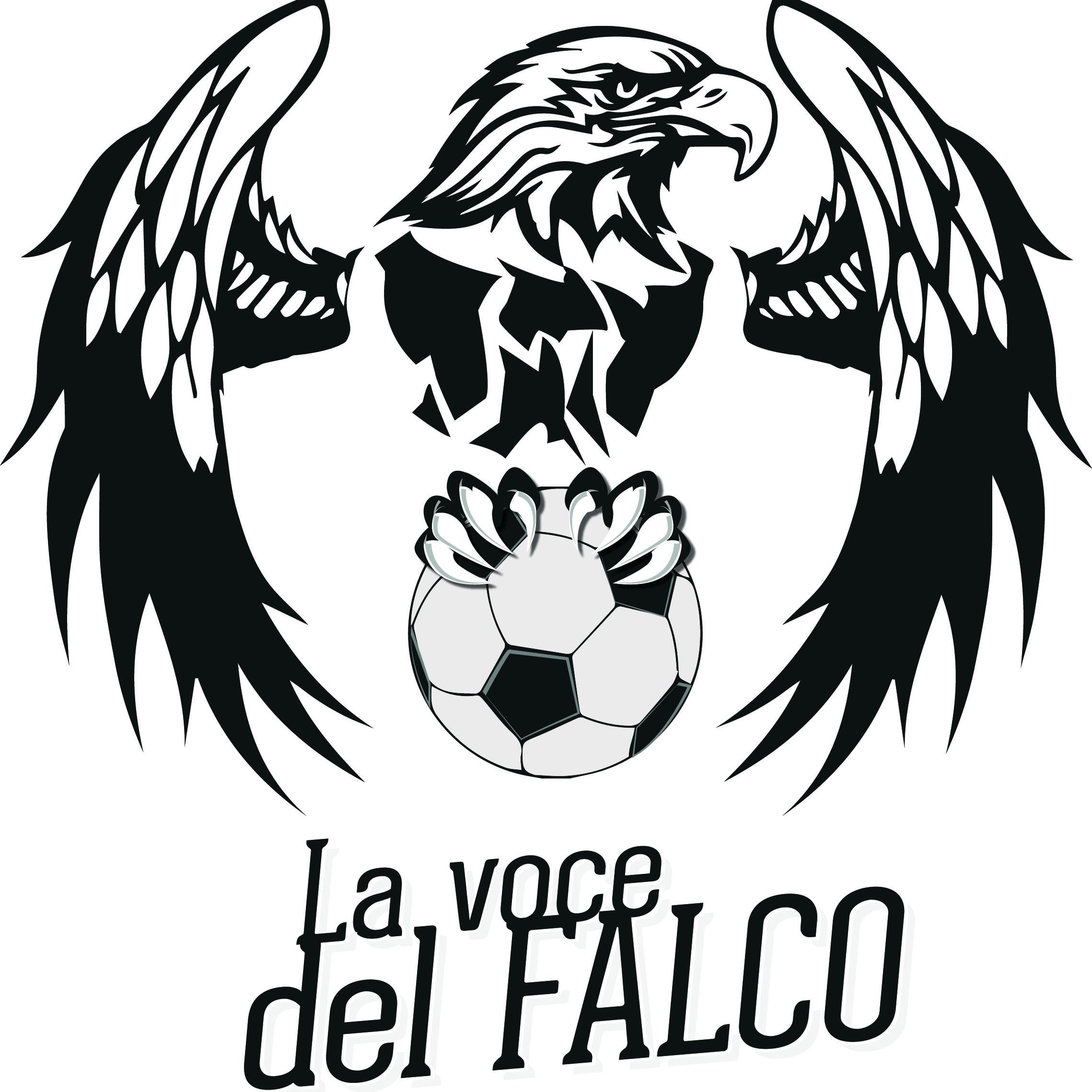 La voce del FALCO