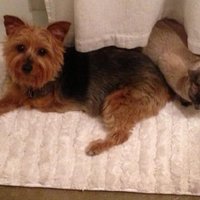 katrinavandy (@katrinavandy) 's Twitter Profile