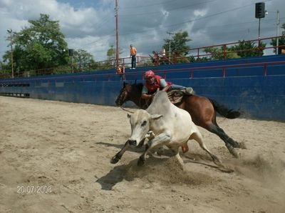 padre de 3 hermosos hijos 2 hembras y 1 varón venezolano y opositor 100% solo Dios sabe lo q vivo y lo q pienso