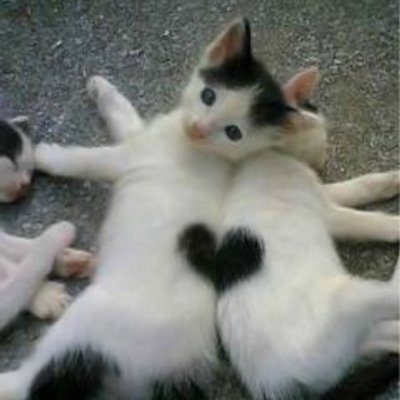 ＊さぁたむ＊(･×･)