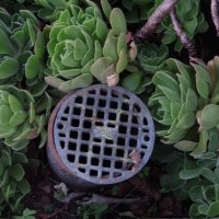 mariamasonart (@mariamasonart) 's Twitter Profile