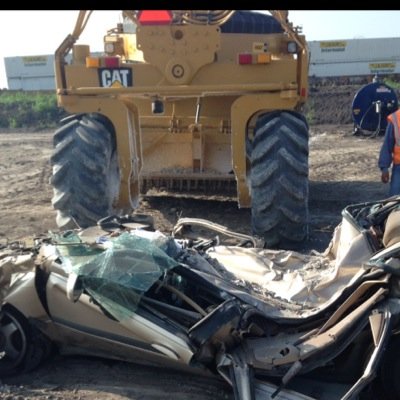 obviously51's profile picture. 