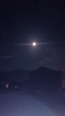 うっかり、ちゃっかり