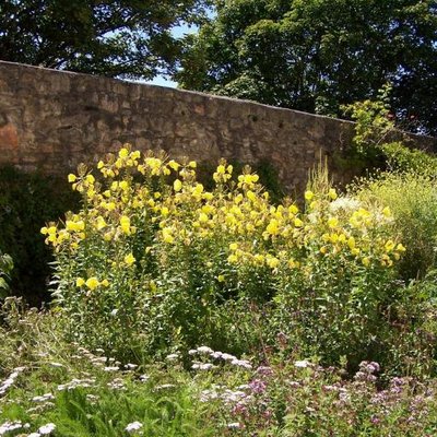 PlymGrowFutures's profile image