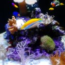 ian edmonds - @ian097 - Twitter