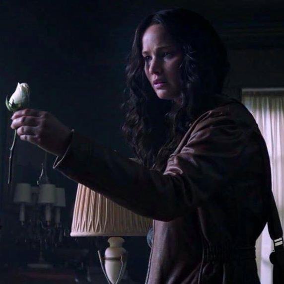 #OurLeaderTheMockingjay