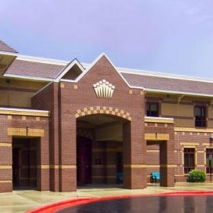 steindavis6's profile picture. 