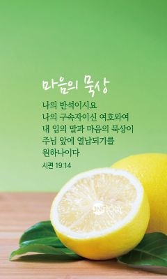 날마다 감사함으로~
