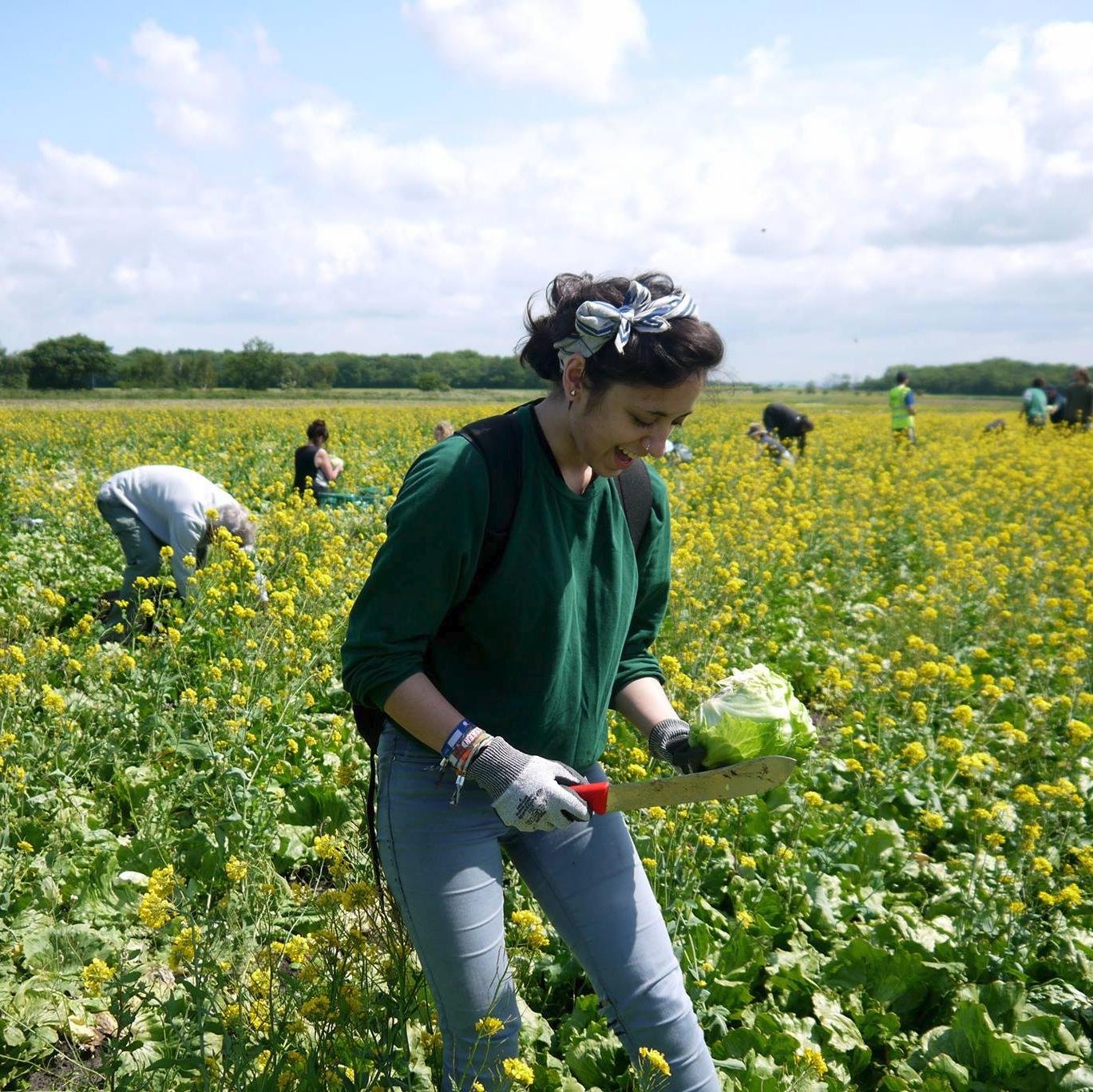 Saving surplus fruit&veg from farms for food redistribution charities. NorthWest Hub of Gleaning Network UK, part of @feedbackorg. Join the glean revolution!