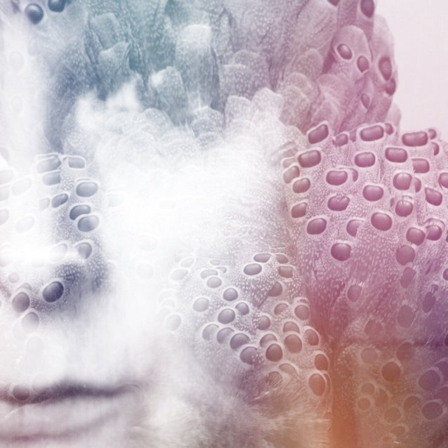 Art Director, illustrator, underwater explorer and a source of ideas.
