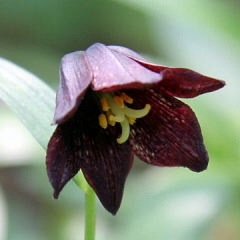 すぱぶろ。どうしても消したい人たちがいるんです。こちらも協力します。