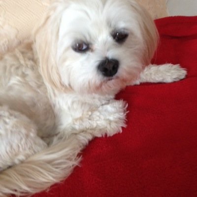 jennyandlala's profile picture. Born in London.
Lived around the world.