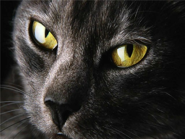 tonja3450's profile picture. 