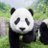 PatHatt21's profile image
