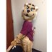 Biff Bobcat (@biffbobcat) Twitter profile photo