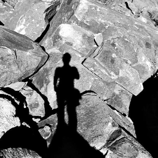 CarmenHess's profile picture. 