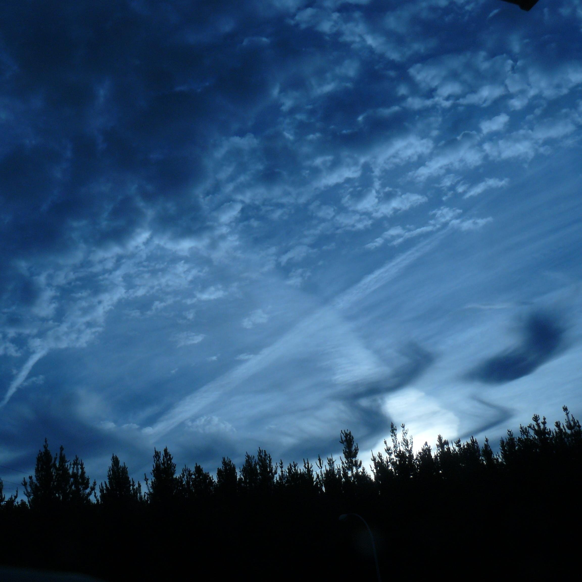 AHamnara's profile picture. 