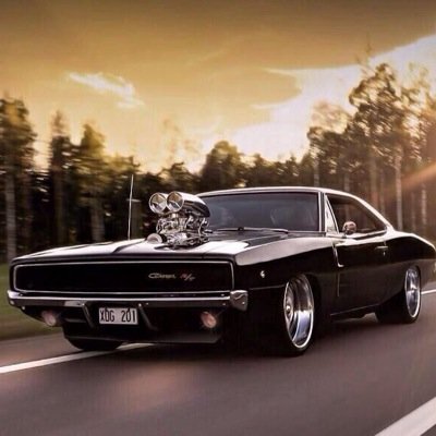 ~ Love American Muscle ~