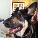 Dave Manuel - @vgmaster7tnj - Twitter