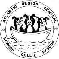 A nonprofit Border Collie rescue organization focused on finding forever homes for Border Collies in need.