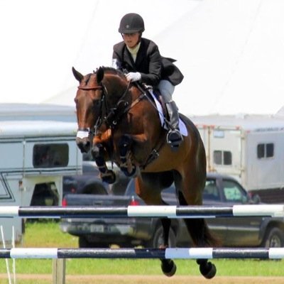 Eventing & Dressage. LLE