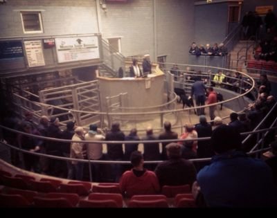 Tweets about Irish Livestock Marts. All information is first or second hand.